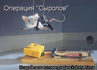 Операция "Сыролов"... Котоматрица: Операция "Сыролов"