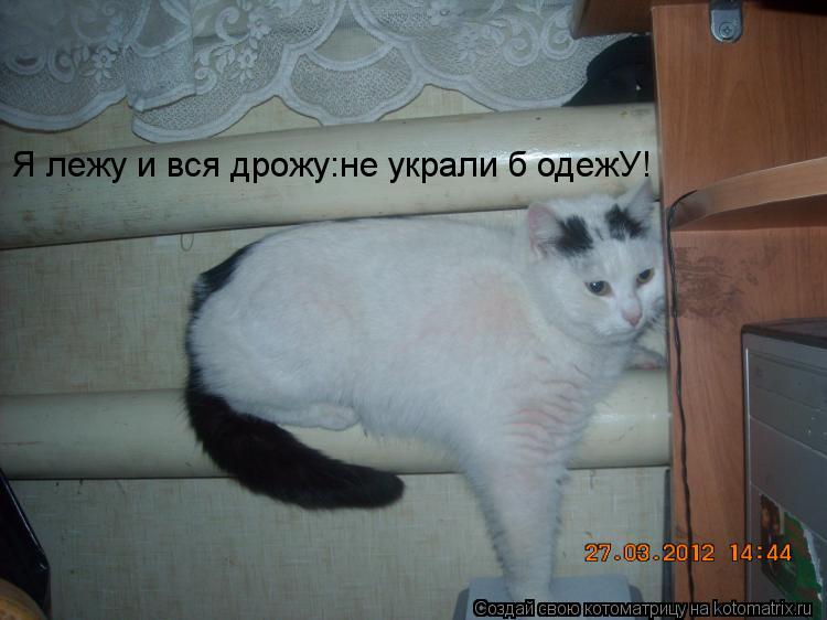 Я лежу и вся дрожу:не украли б одежУ!... Котоматрица: Я лежу и вся дрожу:не украли б одежУ!