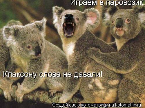 Котоматрица: Играем в паровозик. Клаксону слова не давали!
