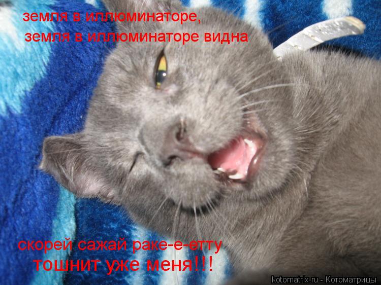Котоматрица: земля в иллюминаторе, земля в иллюминаторе видна тошнит уже меня!!! скорей сажай раке-е-етту