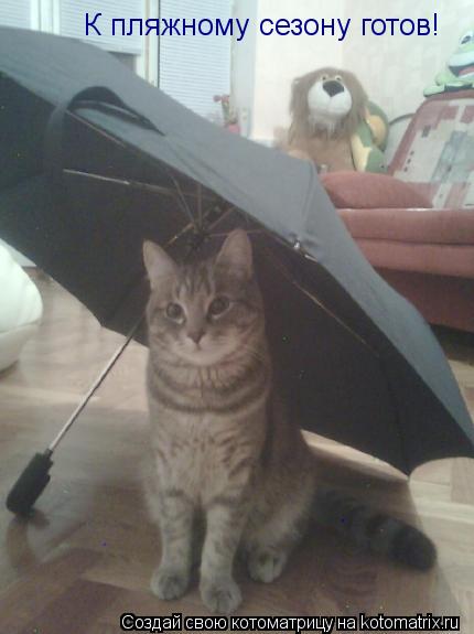 Котоматрица: К пляжному сезону готов!