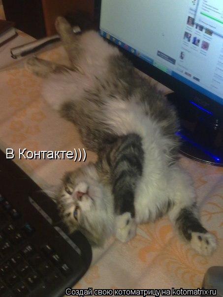 Котоматрица: В Контакте)))