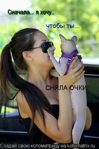 Котоматрица: Сначала... я хочу.. чтобы ты... СНЯЛА ОЧКИ!