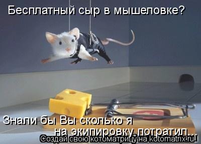 Котоматрица: Бесплатный сыр в мышеловке? Знали бы Вы сколько я  на экипировку потратил...