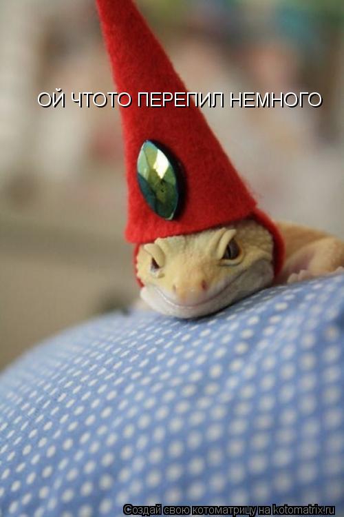 Котоматрица: ОЙ ЧТОТО ПЕРЕПИЛ НЕМНОГО