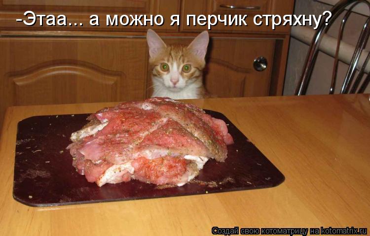 Котоматрица: -Этаа... а можно я перчик стряхну?