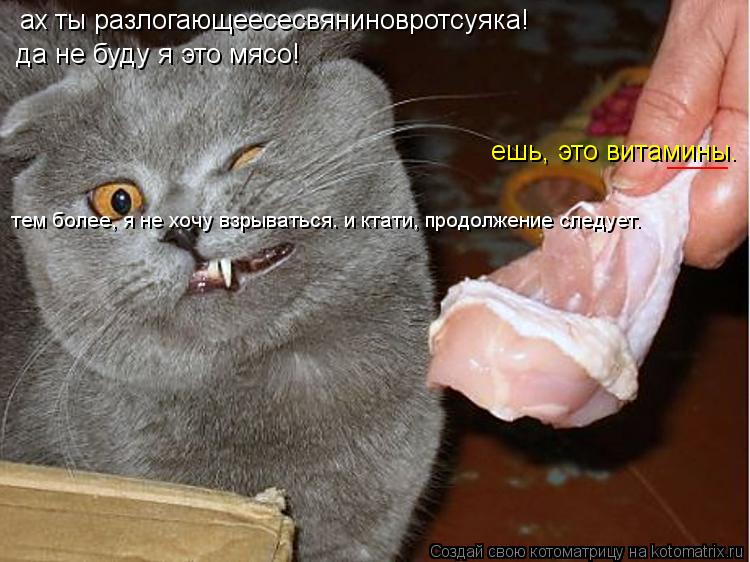 Котоматрица: ах ты разлогающеесесвяниновротсуяка! да не буду я это мясо! ешь, это витамины. ____ тем более, я не хочу взрываться. и ктати, продолжение следуе