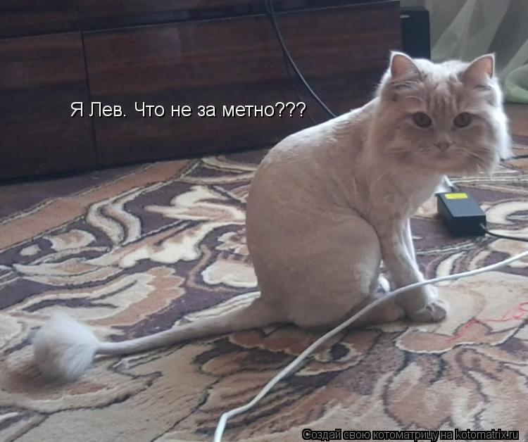 Котоматрица: Я Лев. Что не за метно???