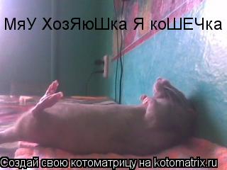 Котоматрица: МяУ ХозЯюШка Я коШЕЧка