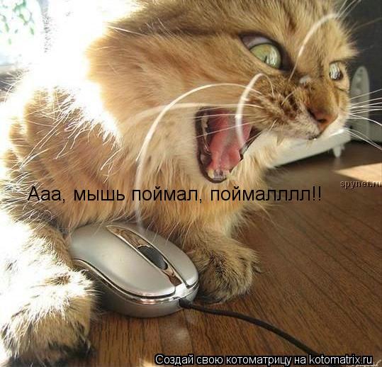 Котоматрица: Ааа, мышь поймал, поймалллл!!