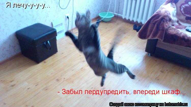Котоматрица: Я лечу-у-у-у... - Забыл пердупредить, впереди шкаф...
