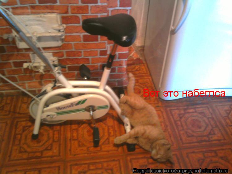 Котоматрица: Вот это набеглса