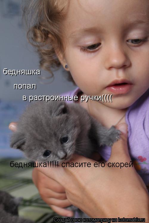 Котоматрица: бедняшка попал в растроинные ручки(((( бедняшка!!!!! спасите его скорей