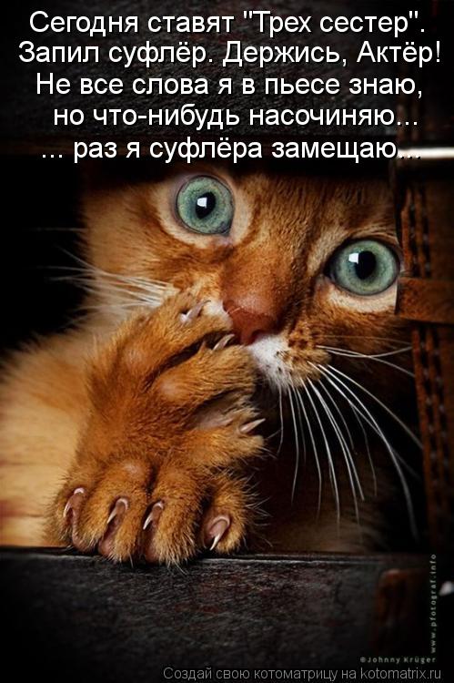 Сегодня ставят "Трех сестер". Запил суфлёр. Держись, Актёр! Не все слова я в пьесе знаю, но что-нибуд... Котоматрица: Сегодня ставят "Трех сестер". Запил суфлёр. Держись, Актёр! Не все слова я в пьесе знаю, но что-нибудь насочиняю... ... раз я суфлёра замещаю...