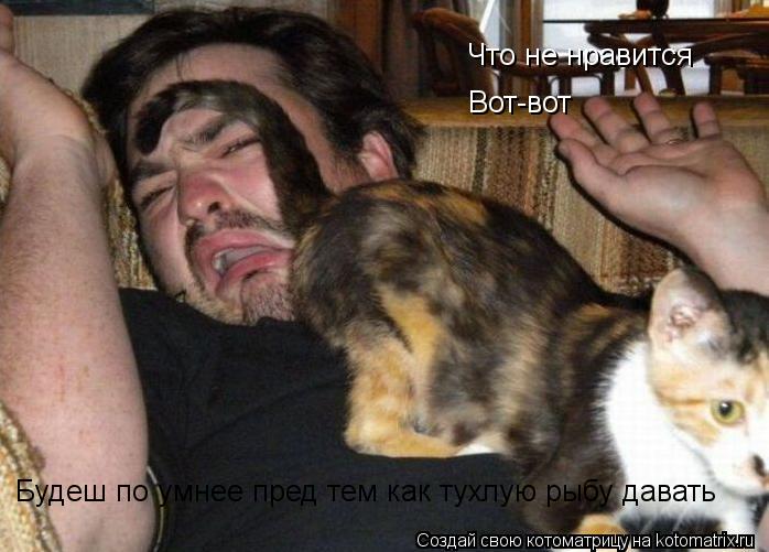 Котоматрица: Что не нравится Вот-вот Будеш по умнее пред тем как тухлую рыбу давать