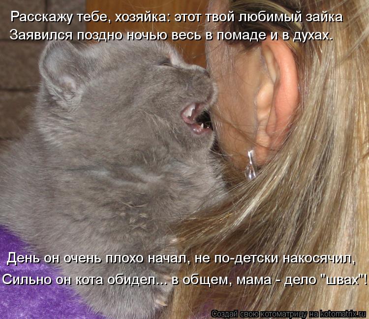 Котоматрица: День он очень плохо начал, не по-детски накосячил,  Расскажу тебе, хозяйка: этот твой любимый зайка Заявился поздно ночью весь в помаде и в ду