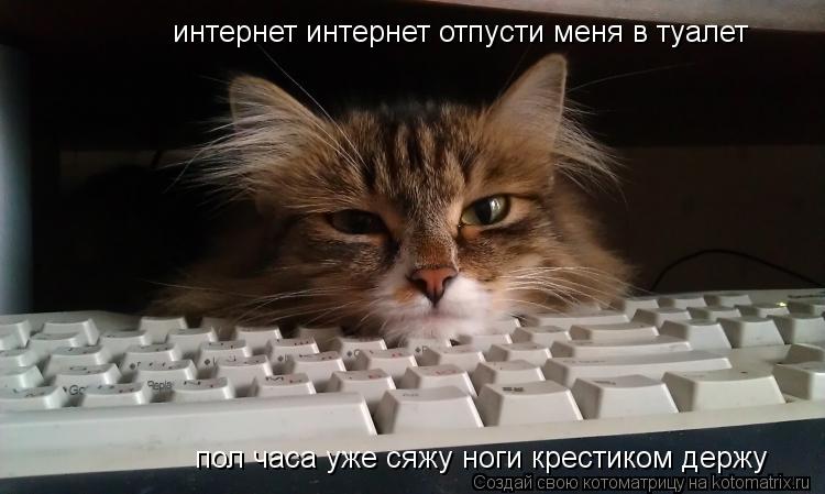 Котоматрица: интернет интернет отпусти меня в туалет пол часа уже сяжу ноги крестиком держу