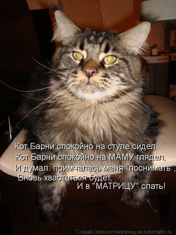 Котоматрица: Кот Барни спокойно на стуле сидел. Кот Барни спокойно на МАМУ глядел, И думал: примчалась меня "поснимать", Вновь хвастаться будет,  И в "МАТРИ