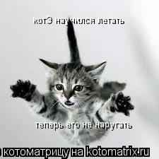 Котоматрица: котЭ научился летать  теперь его не наругать