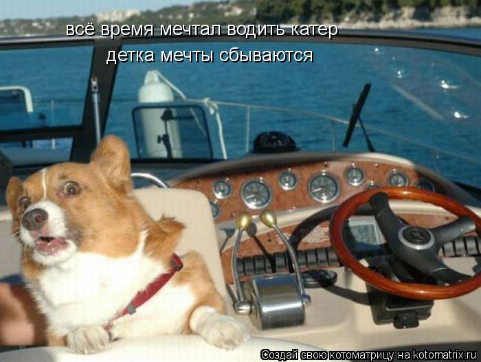 Котоматрица: всё время мечтал водить катер детка мечты сбываются
