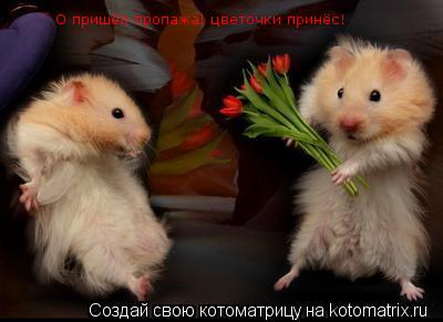 Котоматрица: О пришёл пропажа! цветочки принёс!  О пришёл пропажа! цветочки принёс!