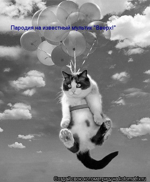 Котоматрица: Пародия на известный мультик "Вверх!"