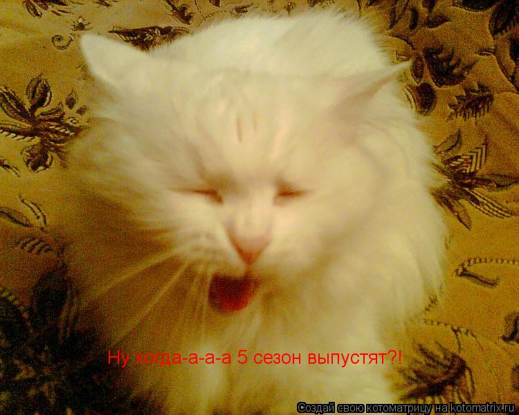 Котоматрица: Ну когда-а-а-а 5 сезон выпустят?!