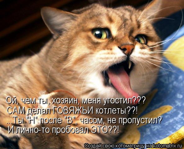 Ой, чем ты, хозяин, меня угостил??? САМ делал ГОВЯЖЬИ котлеты??! ...Ты "Н" после "В", часом, не пропу... Котоматрица: Ой, чем ты, хозяин, меня угостил??? САМ делал ГОВЯЖЬИ котлеты??! ...Ты "Н" после "В", часом, не пропустил? И лично-то пробовал ЭТО??!
