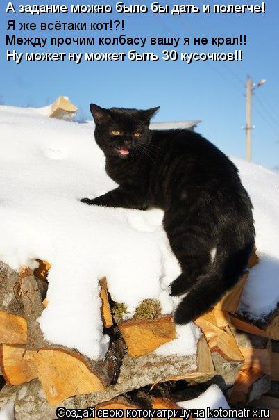Котоматрица: Я же всётаки кот!?! Между прочим колбасу вашу я не крал!! А задание можно было бы дать и полегче! Ну может ну может быть 30 кусочков!!