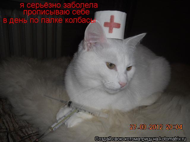 Котоматрица: я серьёзно заболела прописываю себе в день по палке колбасы