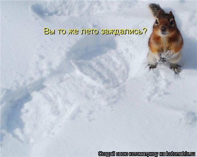 Котоматрица: Вы то же лето заждались?