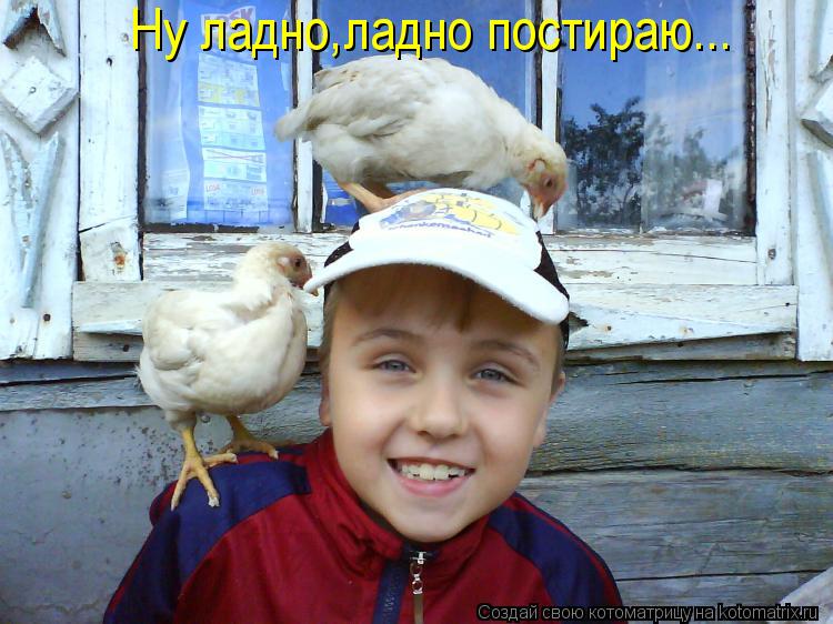 Котоматрица: Ну ладно,ладно постираю...