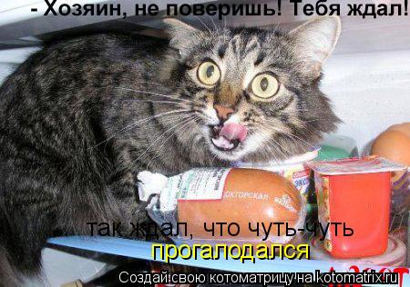 Котоматрица: так ждал, что чуть-чуть  прогалодался