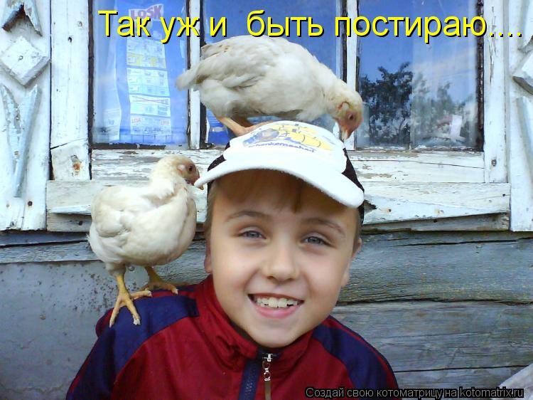 Котоматрица: Так уж и  быть постираю....