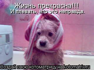 Котоматрица: И плевать, что это неправда. Жизнь прекрасна!!!