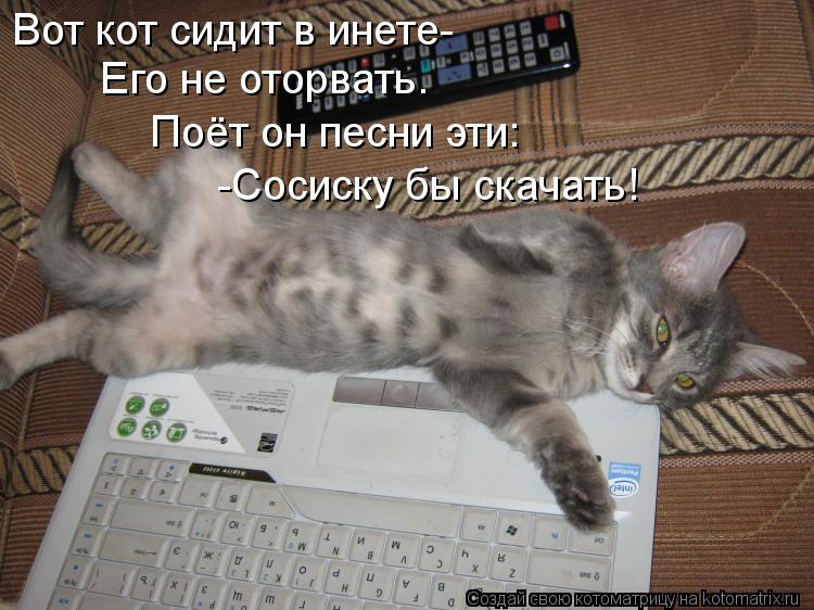 Котоматрица: Вот кот сидит в инете- Вот кот сидит в инете- Его не оторвать. Поёт он песни эти: -Сосиску бы скачать!