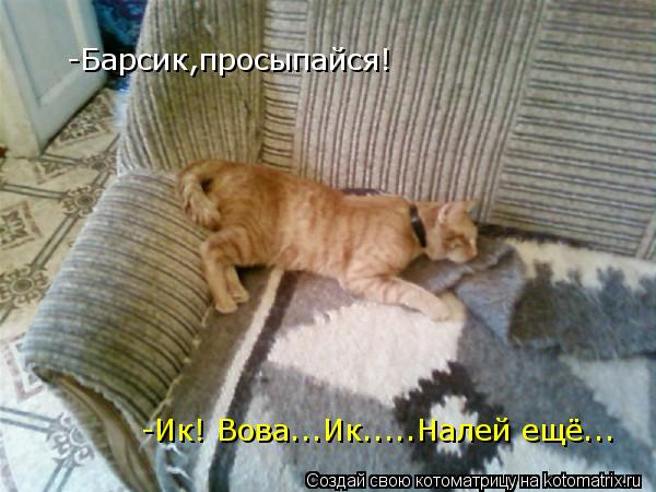 Котоматрица: -Барсик,просыпайся! -Ик! Вова...Ик.....Налей ещё...