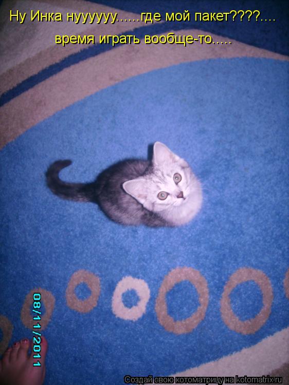 Ну Инка нуууууу......где мой пакет????.... время играть вообще-то........ Котоматрица: Ну Инка нуууууу......где мой пакет????.... время играть вообще-то.....