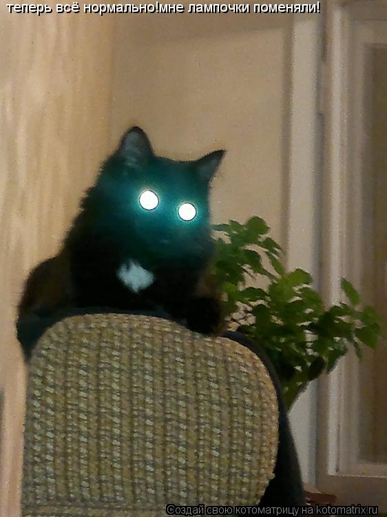 теперь всё нормально!мне лампочки поменяли!... Котоматрица: теперь всё нормально!мне лампочки поменяли!