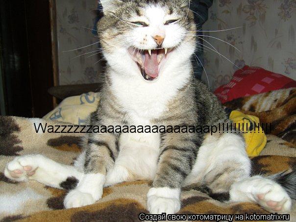 Wazzzzzzaaaaaaaaaaaaaaaap!!!!!!!!!!!!!!... Котоматрица: Wazzzzzzaaaaaaaaaaaaaaaap!!!!!!!!!!!!!!