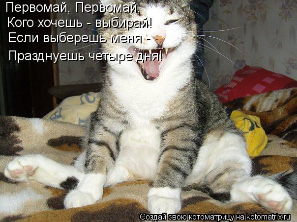Первомай, Первомай, Кого хочешь - выбирай! Если выберешь меня - Празднуешь четыре дня!... Котоматрица: Первомай, Первомай, Кого хочешь - выбирай! Если выберешь меня - Празднуешь четыре дня!