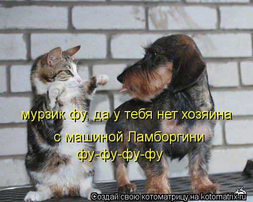 мурзик фу, да у тебя нет хозяина с машиной Ламборгини фу-фу-фу-фу... Котоматрица: мурзик фу, да у тебя нет хозяина с машиной Ламборгини фу-фу-фу-фу