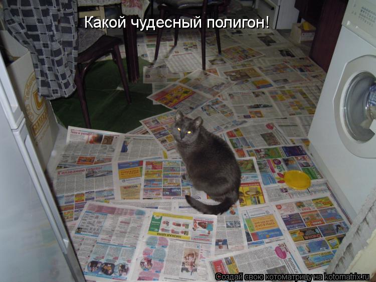 Какой чудесный полигон!... Котоматрица: Какой чудесный полигон!