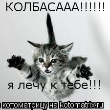 КОЛБАСААА!!!!!! я лечу к тебе!!!... Котоматрица: КОЛБАСААА!!!!!! я лечу к тебе!!!
