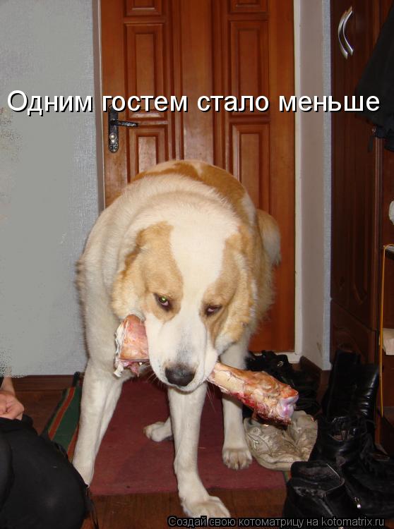 Одним гостем стало меньше... Котоматрица: Одним гостем стало меньше