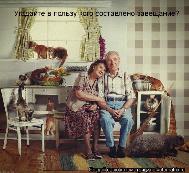Угадайте в пользу кого составлено завещание?... Котоматрица: Угадайте в пользу кого составлено завещание?