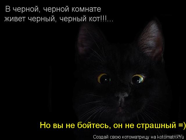 В черной, черной комнате живет черный, черный кот!!!... Но вы не бойтесь, он не страшный =)... Котоматрица: В черной, черной комнате живет черный, черный кот!!!... Но вы не бойтесь, он не страшный =)