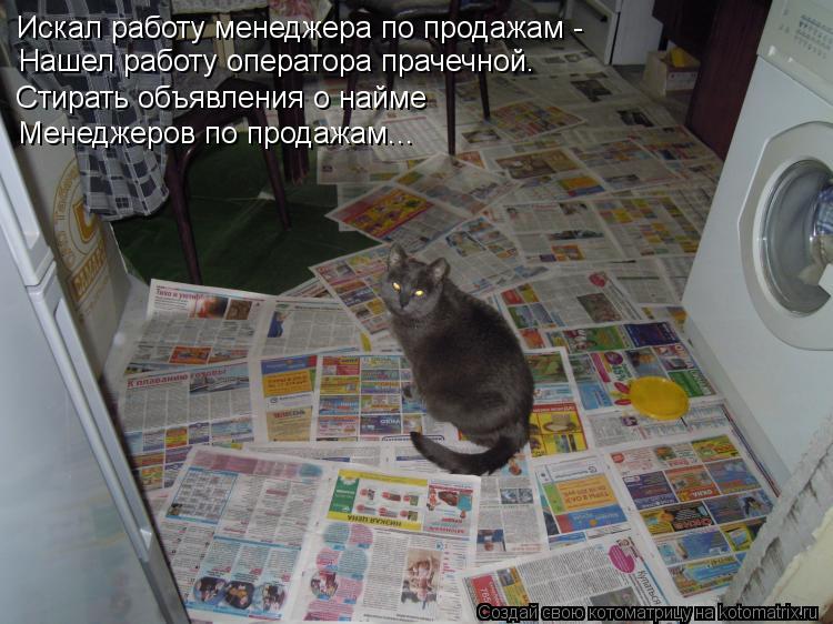 Искал работу менеджера по продажам - Нашел работу оператора прачечной. Стирать объявления о найме Мен... Котоматрица: Искал работу менеджера по продажам - Нашел работу оператора прачечной. Стирать объявления о найме Менеджеров по продажам...