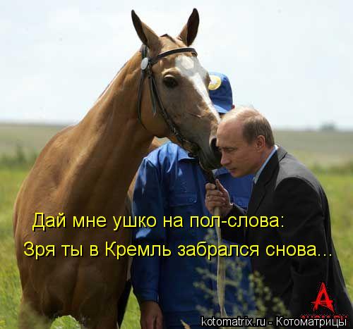 Дай мне ушко на пол-слова: Зря ты в Кремль забрался снова...... Котоматрица: Дай мне ушко на пол-слова: Зря ты в Кремль забрался снова...
