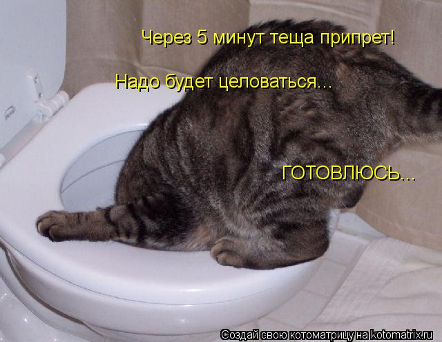 Надо будет целоваться... Через 5 минут теща припрет! ГОТОВЛЮСЬ...... Котоматрица: Надо будет целоваться... Через 5 минут теща припрет! ГОТОВЛЮСЬ...
